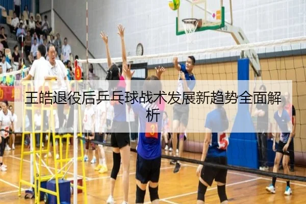 王皓退役后乒乓球战术发展新趋势全面解析