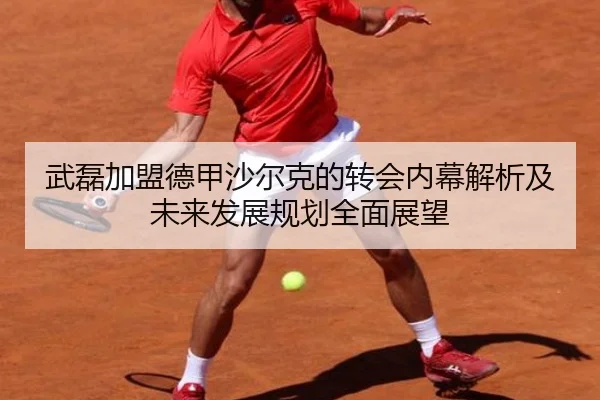 武磊加盟德甲沙尔克的转会内幕解析及未来发展规划全面展望
