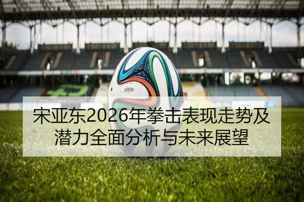 宋亚东2026年拳击表现走势及潜力全面分析与未来展望