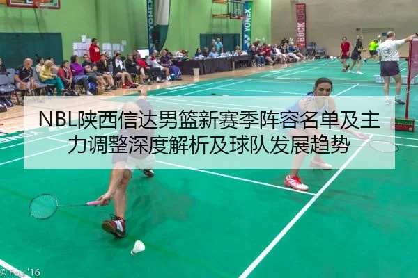 NBL陕西信达男篮新赛季阵容名单及主力调整深度解析及球队发展趋势