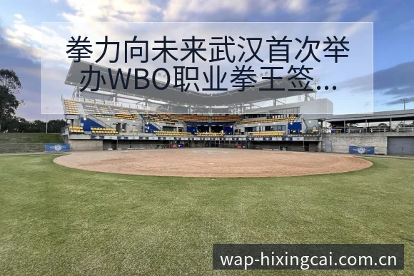 拳力向未来武汉首次举办WBO职业拳王签表路径与晋级前景风 - 杏彩