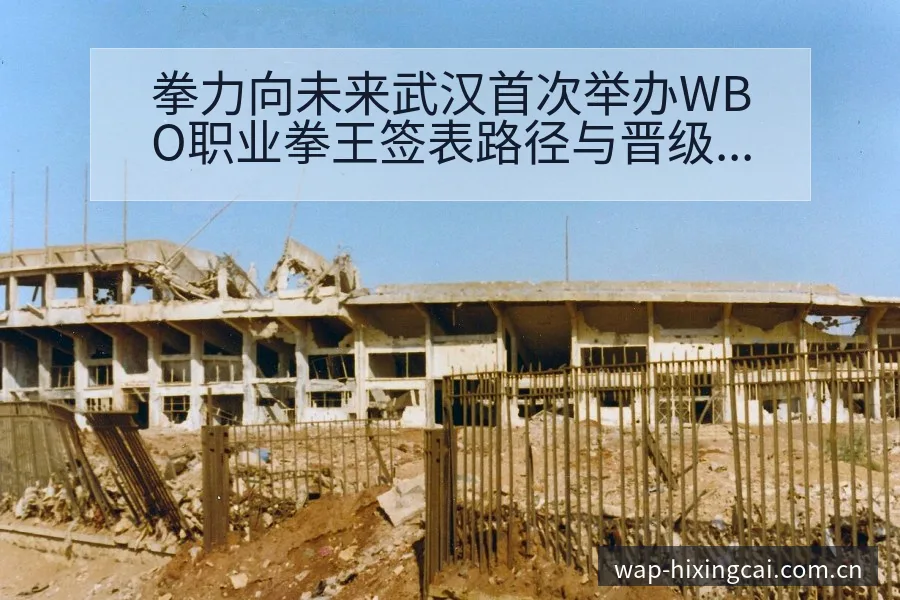 拳力向未来武汉首次举办WBO职业拳王签表路径与晋级前景风 - 杏彩